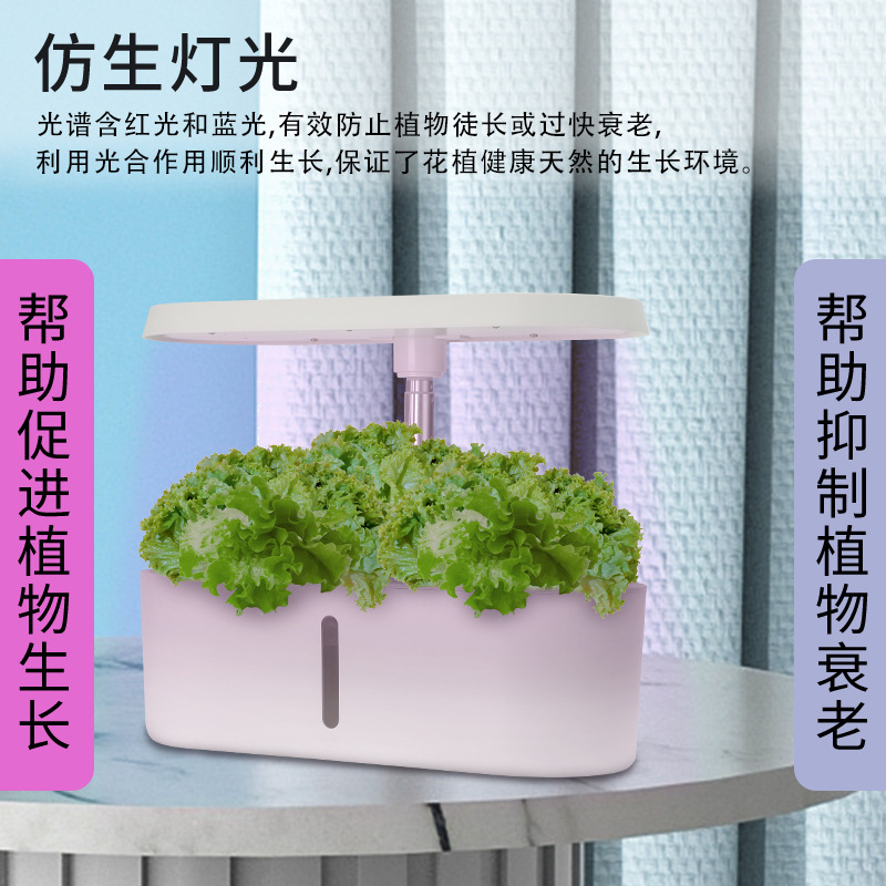 가정용 스마트 수경 재배기 무토양 수경 꽃 재배 시스템 - Smart Home System 리뷰 및 가격