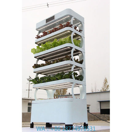 가정용 수경재배 시스템 신제품 실내 스마트 가든 수경재 - Smart Home System 리뷰 및 가격